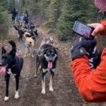Summer Dog Sledding Adventure in Willow, Alaska - The Experiences Strengths