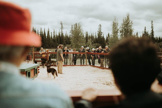 Summer Kennel Visit at Historic Trail Breaker Kennel - The Value of the Experience