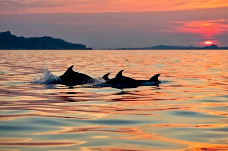 Sunrise Kayak Tour with Snorkeling and Coffee Experience - The Experience: Why It Stands Out