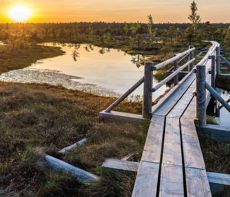 Sunrise Tour To Great Kemeri Bog - What the Itinerary Looks Like