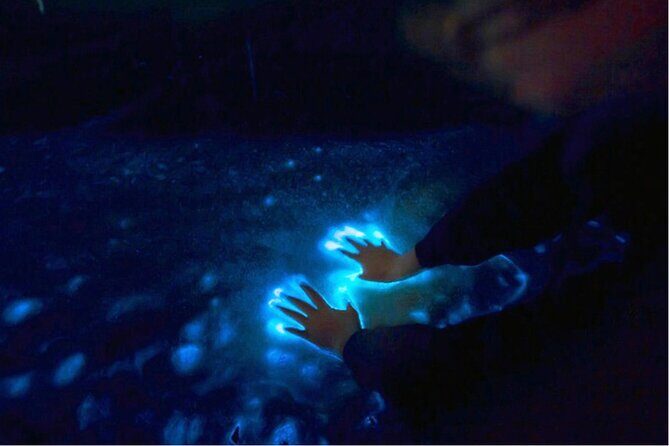 Sunset and Bioluminescence Boat Tour at Los Arcos Islands - Practical Details and Tips