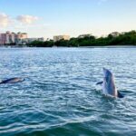 Sunset and Dolphin Cruise around Fort Myers Beach - FAQ