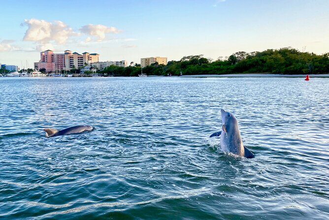 Sunset and Dolphin Cruise around Fort Myers Beach - FAQ