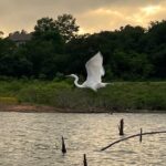 Sunset and Glow Guided Kayaking Tour Grapevine Lake - Analyzing the Value