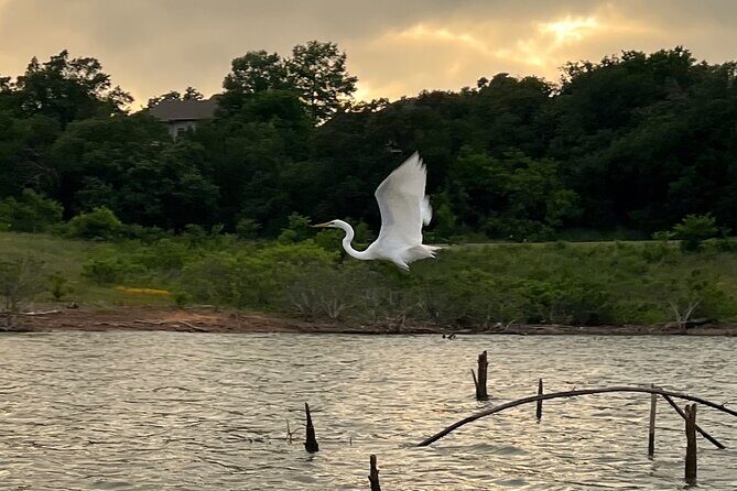 Sunset and Glow Guided Kayaking Tour Grapevine Lake - Analyzing the Value