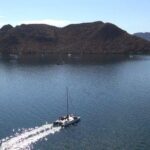 Sunset Appetizers & Open Bar Catamaran Cruise - The Experience in Detail: What You Can Expect