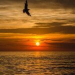 Sunset Boat Tour from Sorrento to Capri - The Real Traveler Perspective