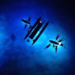 Sunset Cruise & Manta Night Snorkeling Charter - Frequently Asked Questions