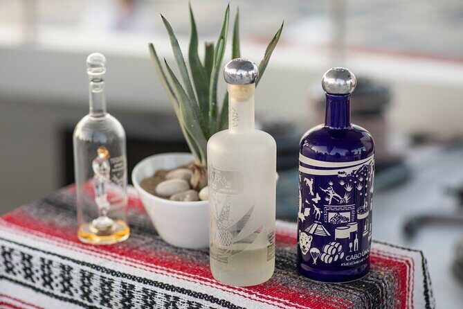 Sunset Cruise Tequila Tasting - The Itinerary in Detail