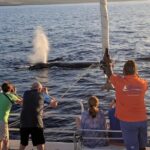 Sunset Cruise with the Whales from Anaeho'omalu Bay - The Itinerary in Detail