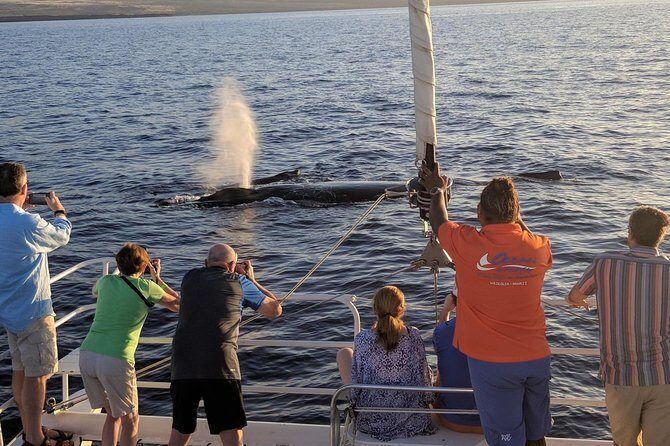 Sunset Cruise with the Whales from Anaeho'omalu Bay - The Itinerary in Detail