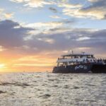 Sunset Dinner Cruise in Los Cabos - What to Expect from the Sunset Dinner Cruise
