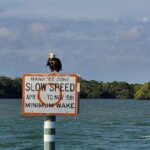 Sunset Dolphin Cruise with Sanibel Lighthouse Views - The Crew and Service
