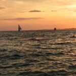 Sunset Dolphin Watching Cruise in Destin Harbor - Price and Value: Is It Worth It?