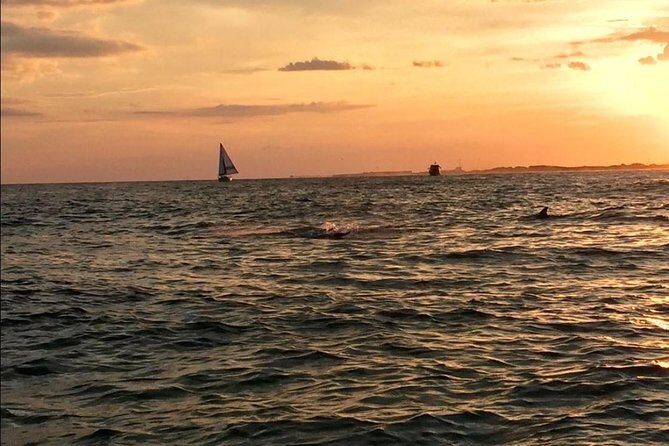 Sunset Dolphin Watching Cruise in Destin Harbor - Price and Value: Is It Worth It?
