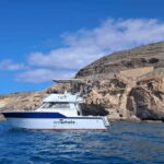 Sunset Dolphin Watching Tour on Hybrid Boat in Small Group - The Experience: What to Expect from the Tour