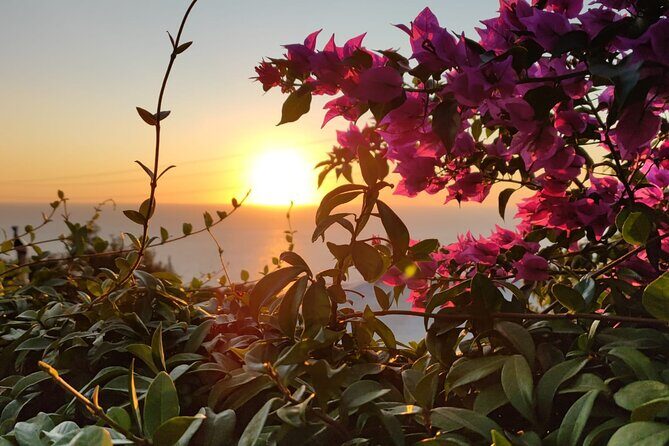 Sunset E-Bike Tour on the Sorrento Peninsula - A Deeper Look at the Experience