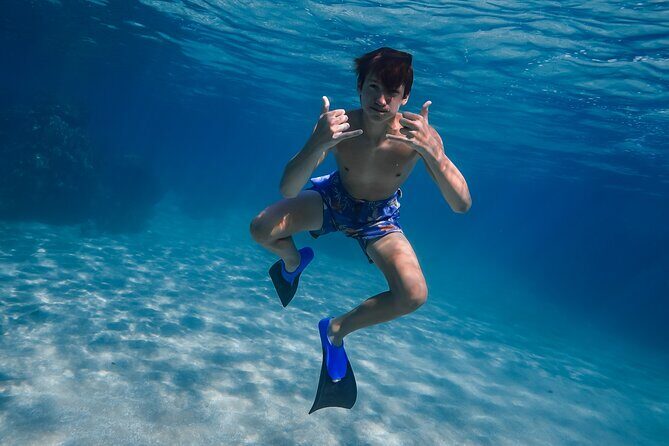 Sunset Glow Snorkel At Turtle Town With Photo & Video - FAQs