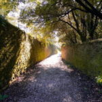 Sunset Hike in Fiesole with Aperitivo - Practical Considerations and Tips