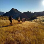 Sunset Hike & Summit Sierra Nevada with pup - What the Tour Looks Like: A Step-by-Step Breakdown