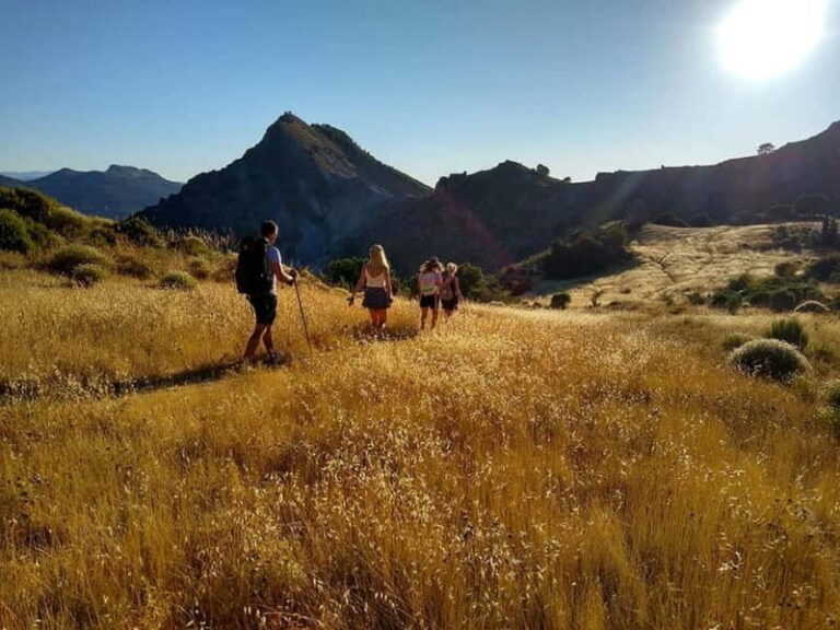 Sunset Hike & Summit Sierra Nevada with pup - What the Tour Looks Like: A Step-by-Step Breakdown