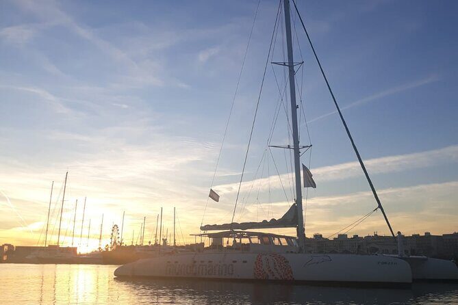 Sunset in Valencia from the Catamaran Mundo Marino - Who Should Consider This Tour?