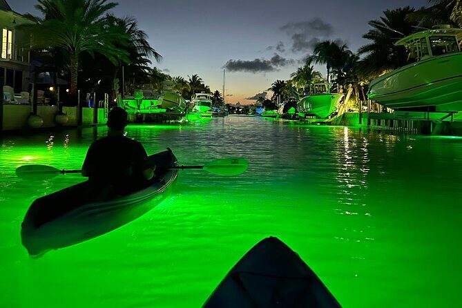 Sunset Kayak Adventure with Enchanting Underwater Lights - Why You Should Consider This Tour