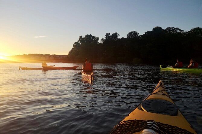 Sunset Kayak Tour in Central Stockholm and Swedish Fika - Our Final Thoughts: Is It Worth It?