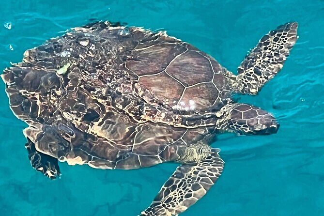 SUNSET LUXURY YACHT from Protaras - Cypriot Dinner - 1 free drink - Culinary Experience: Cypriot BBQ on Deck