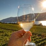 Sunset Sip Wine Tour - Transportation and Group Size