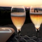 Sunset tasting sunset in the champagne vineyards - Exploring What the Tour Offers