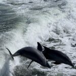 Sunset Tiki Boat Cruise (BYOB) - Authentic Perspectives from Reviewers