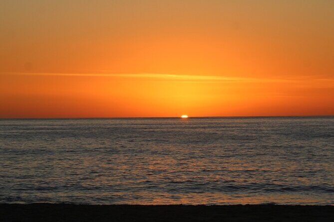 Sunset Whale Cruise in Cabo San Lucas - The Experience and Atmosphere