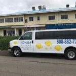 Sunset Whale Watching Shared Activity - Analyzing the Cost and Value