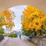 Suomenlinna: Private Finntastic Tour through Guns & Tunnels - The Practical Details