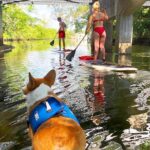 SUP PUP Paddleboard Tour - Final Thoughts: Is It Worth It?