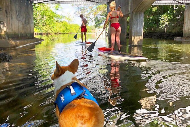 SUP PUP Paddleboard Tour - Final Thoughts: Is It Worth It?