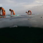 SUP Yoga in Stunning Stoja Bay: Balance, Breath & Connect - The Experience Itself: What You Can Expect