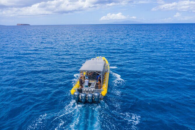 Super Raft - Private Charter Maui 3 Hour Snorkel to Coral Gardens or Molokini - What the Tour Offers: A Detailed Breakdown