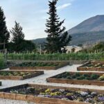 Superior Wine Tasting with Lunch on the slopes of Mt. Vesuvius - An In-Depth Look at the Experience