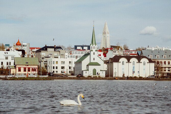Surprise Walk of Reykjavik with a Local - Practicalities and Considerations