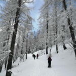 Susa Valley at dawn: snowshoeing in nature and silence - The Itinerary in Detail