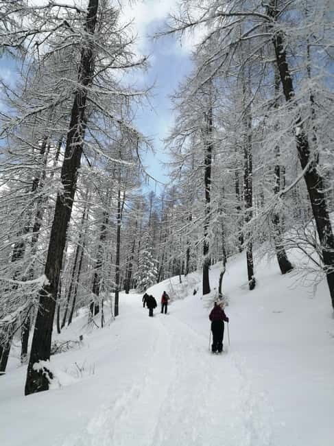 Susa Valley at dawn: snowshoeing in nature and silence - The Itinerary in Detail