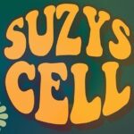 Suzys Cell Escape Game - The Authenticity of Reviews and What Travelers Say