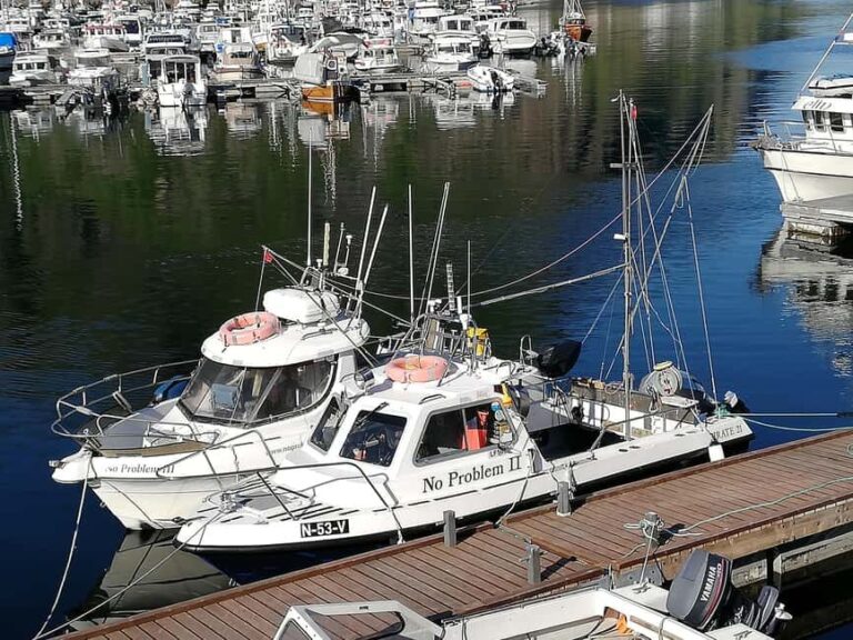 Svolvaer: Fishing Trips with a personal touch - Who Is This Tour Best For?