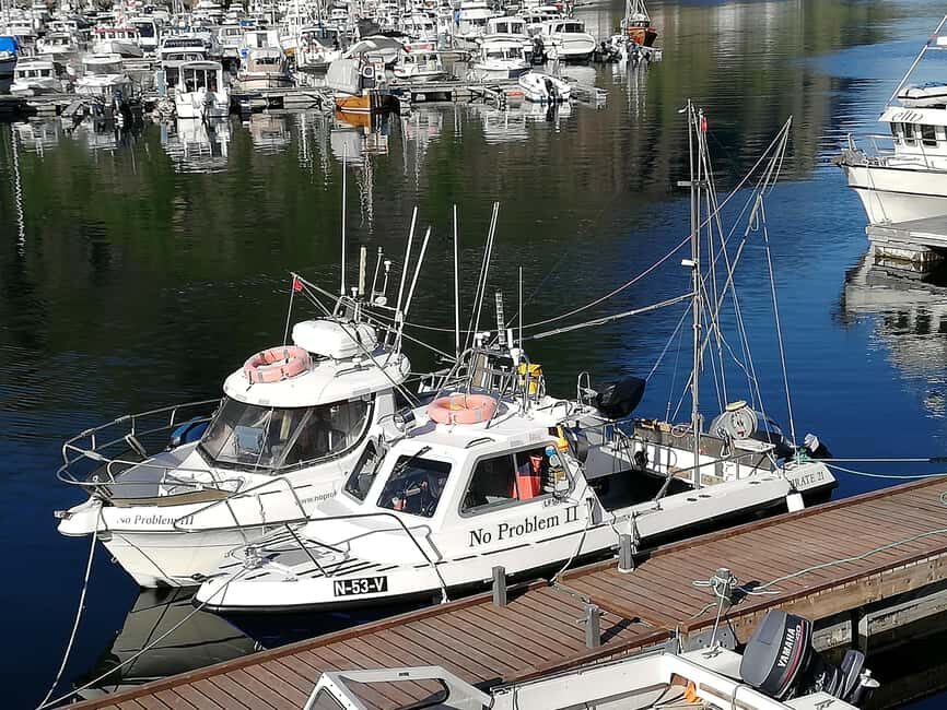 Svolvaer: Fishing Trips with a personal touch - Who Is This Tour Best For?