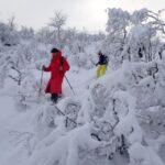 Svolvaer: Half-Day Guided Snowshoeing Tour - In The Sum Up