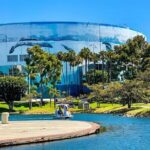 Swan Boat Rental at Rainbow Lagoon in Long Beach - The Experience: What You’ll See and Feel