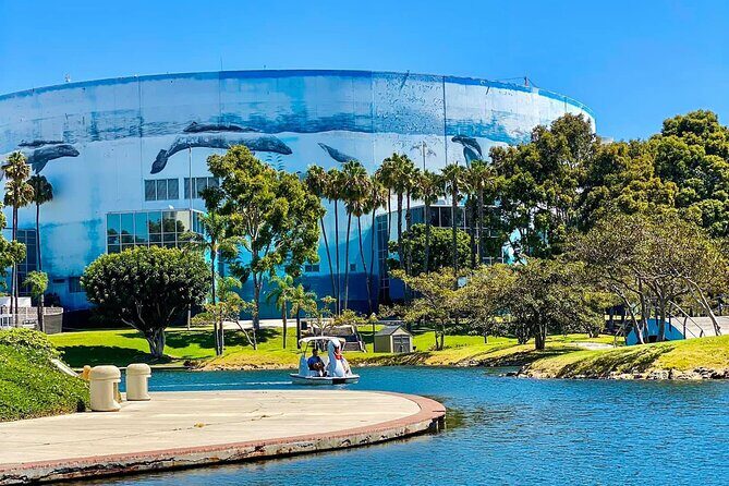 Swan Boat Rental at Rainbow Lagoon in Long Beach - The Experience: What You’ll See and Feel