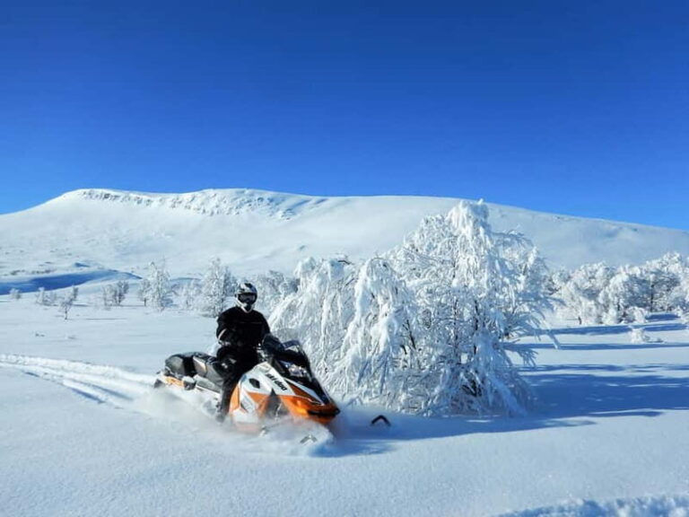 Swedish Lapland: Snowmobile safari - Authenticity and Value